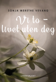 Vi to – livet uten deg